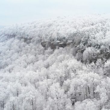 Winter Drone Footage of the Ozarks